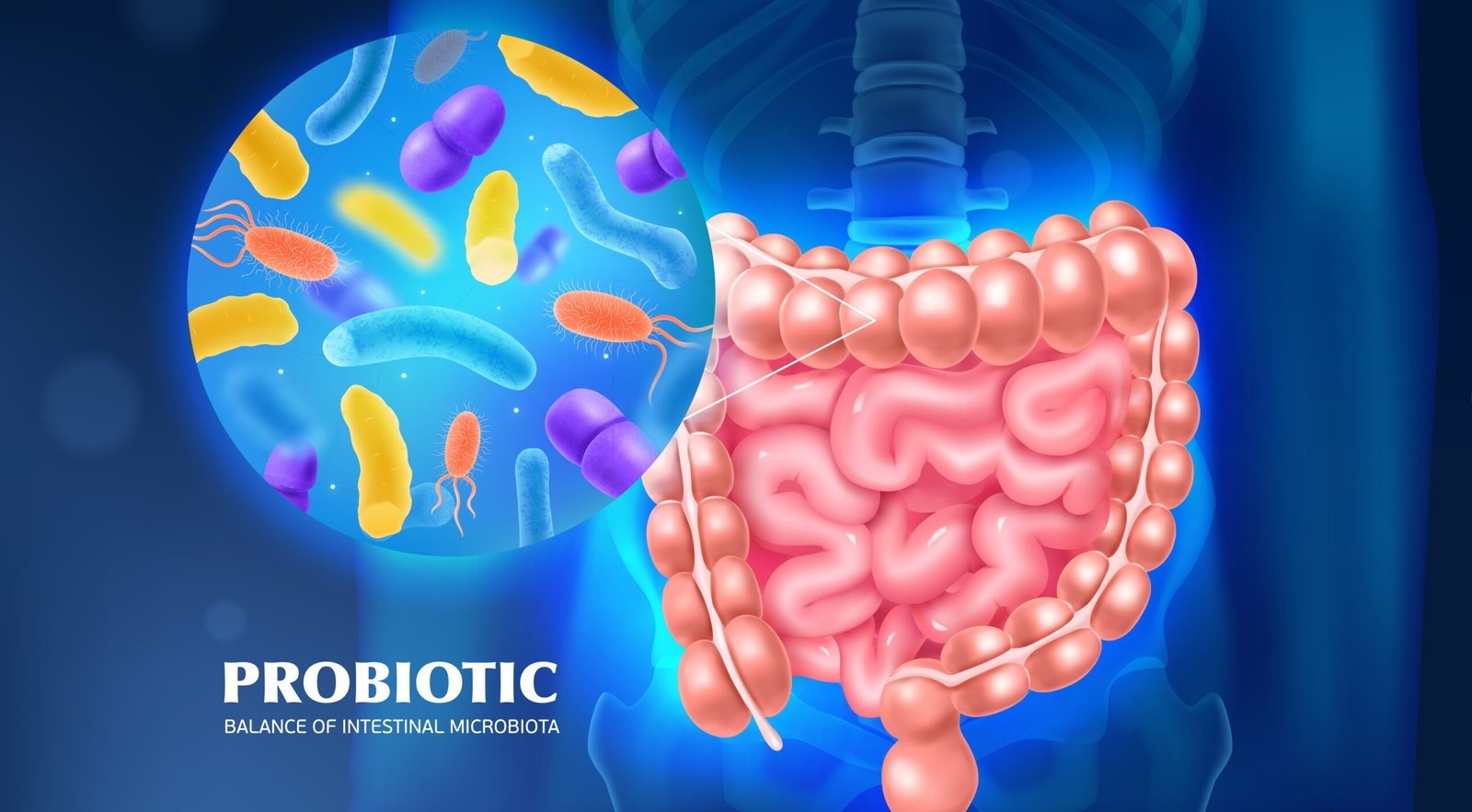 Probiotics and Prebiotics