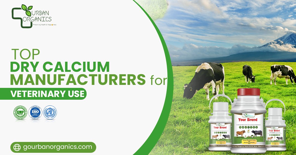 Understanding the Role of Dry Calcium Manufacturers for Veterinary Medicine | Urban Organics