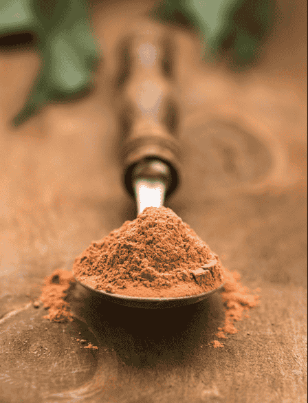 Protein powder manufacturing